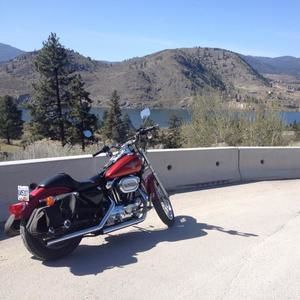 Meet your Posher, Joan